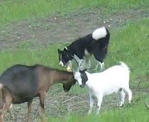 Léa interrompue avec Zoé tente avec Lola...