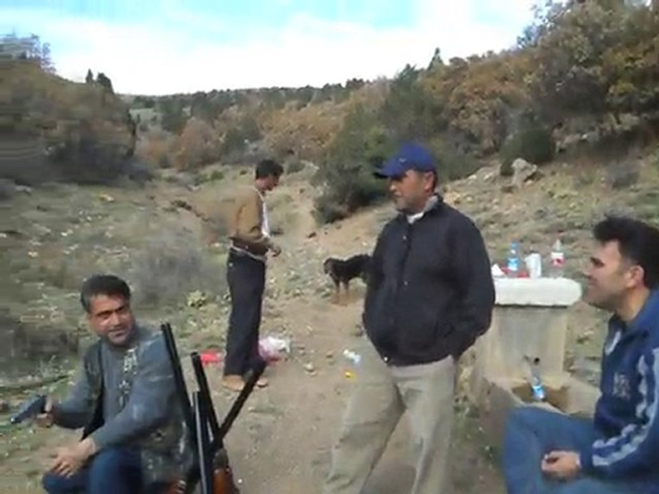 AV ANISI