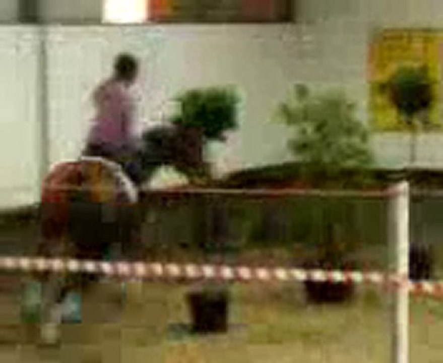 Jeux de la st Hubert 2010