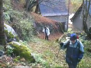 Escapade en vallée d'orle avec les chevaux 11.11.2010