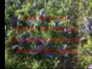 POEME DE MICHAEL JACKSON ( PLANETE TERRE )