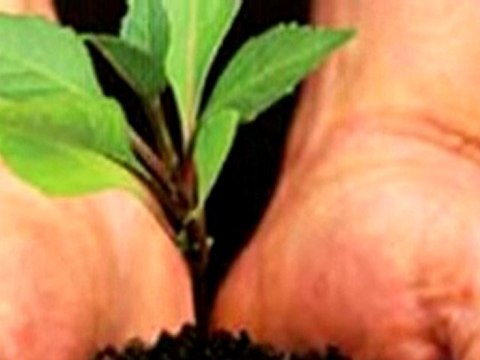 Kahpe Sevgilim (Feat. Gece Yolcuları)