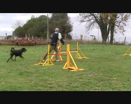 Johann & Dana Entraînement Agility 6 Novembre 2010
