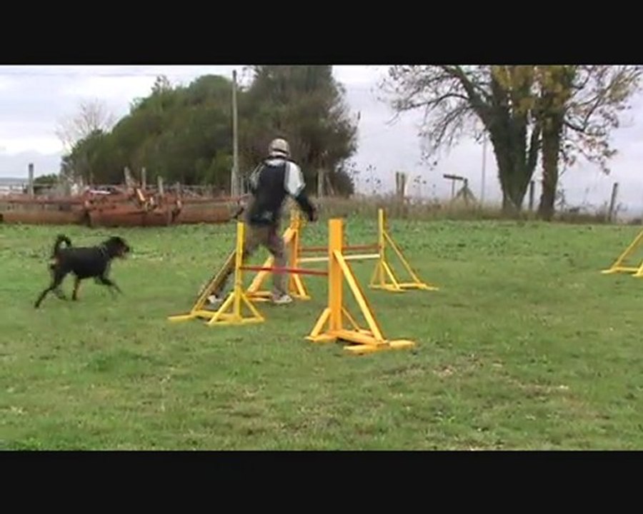 Johann & Dana Entraînement Agility 6 Novembre 2010