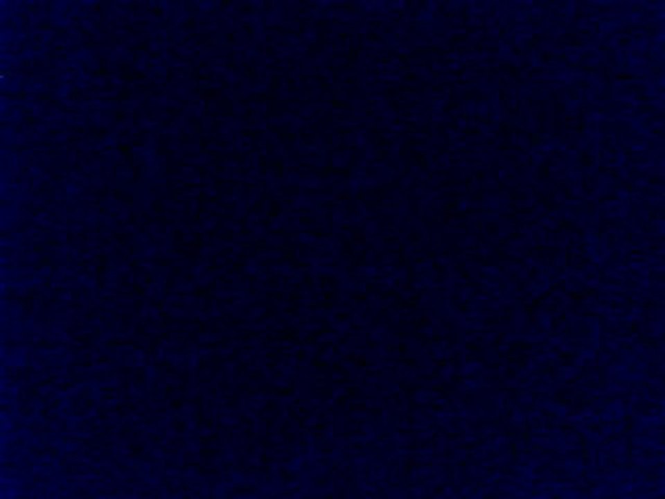 webcam_1289682430406