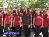 Şeyh Şamil Lisesi