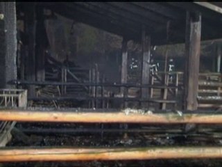 Zoo fire kills animals