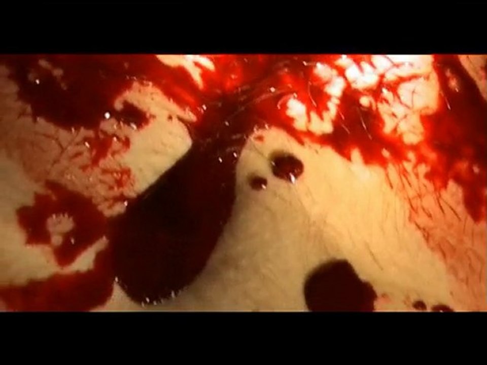 FILM LA DERNIERE FOIS