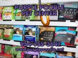 Purple Poodle Pet Center, Coral springs , FL, Dog Groomer, P