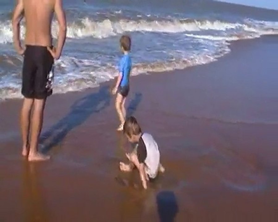 vidéo plage