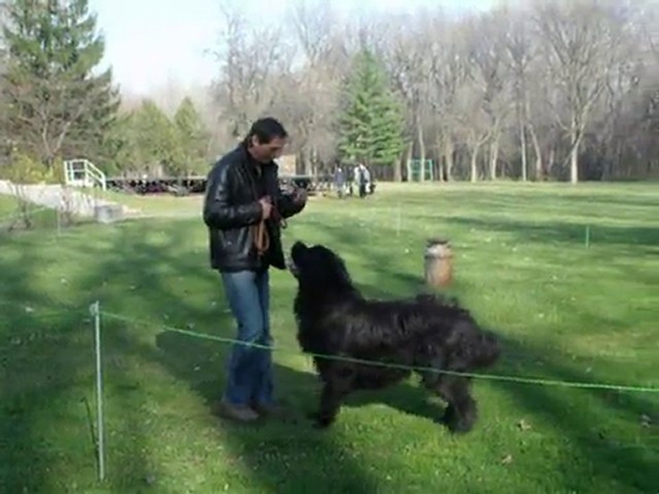 13-11-2010-VID1