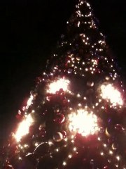 Illumination du sapin