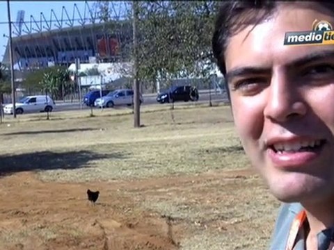 Medio Tiempo.com - Gallinas en Rustemburgo.