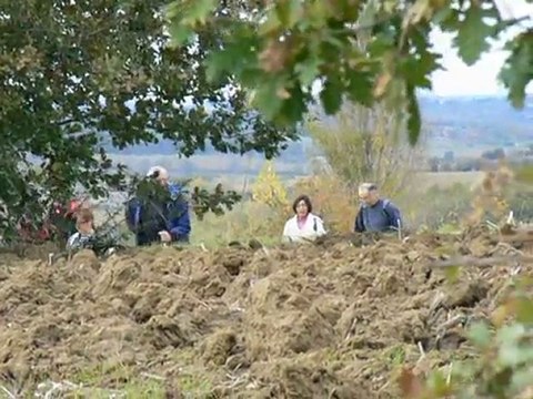 Les chemins creux de Toutens