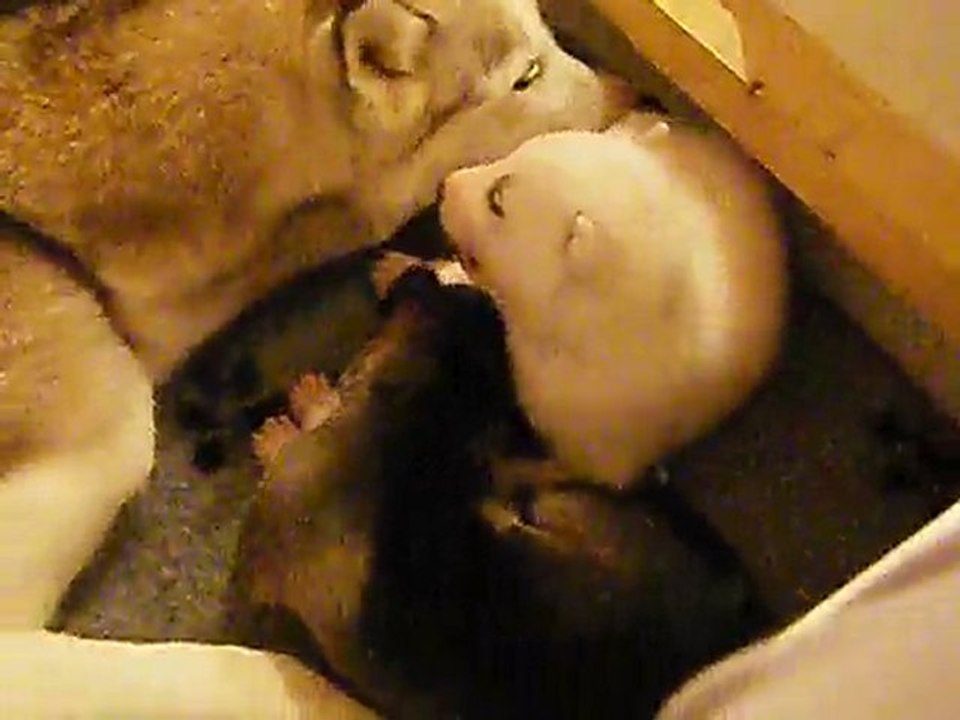 ficelle et son frere