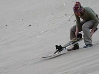 Descente à ICA en luge