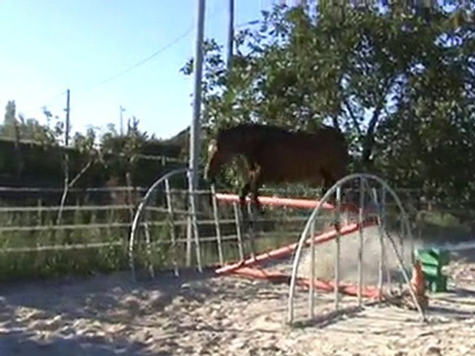 tip top la goula