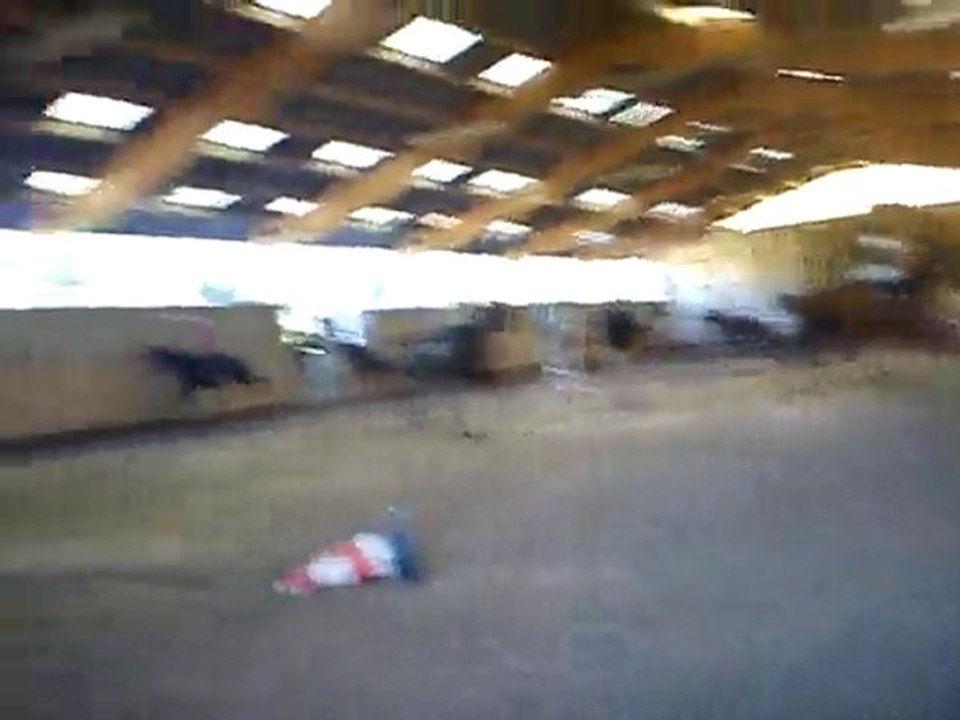MOV00447
