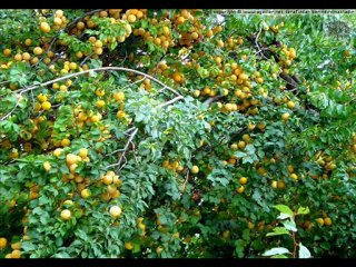 MALATYA-Malatya eline serin dedi
