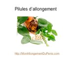 Allongement du penis