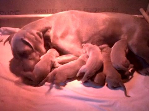 VID 00005-20101114-1049