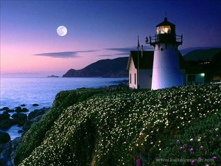 Fatih Turgay AKÇAY - Deniz Feneri (Uğur ARSLAN)