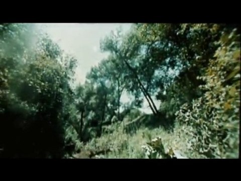 СОЛНЕЧНЫЙ ЗАЙЧИК СУПЕР ХИТ!! ШАНСОН ГОДА!! Марсель Давлетов