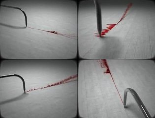 The Essence of Life 🌱