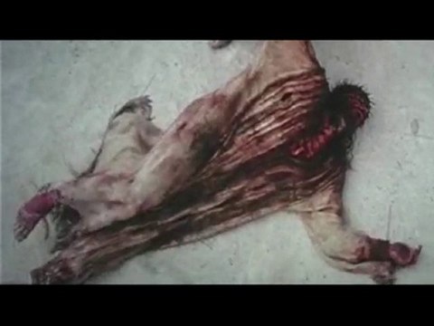 Журавли СУПЕР ХИТ!! ШАНСОН ГОДА!!! Марсель Давлетов