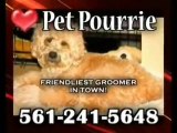Dog Grooming, Boca Raton, Pet Pourrie - Pet Groomer, Boca, F