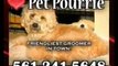 Dog Grooming, Boca Raton, Pet Pourrie - Pet Groomer, Boca, F