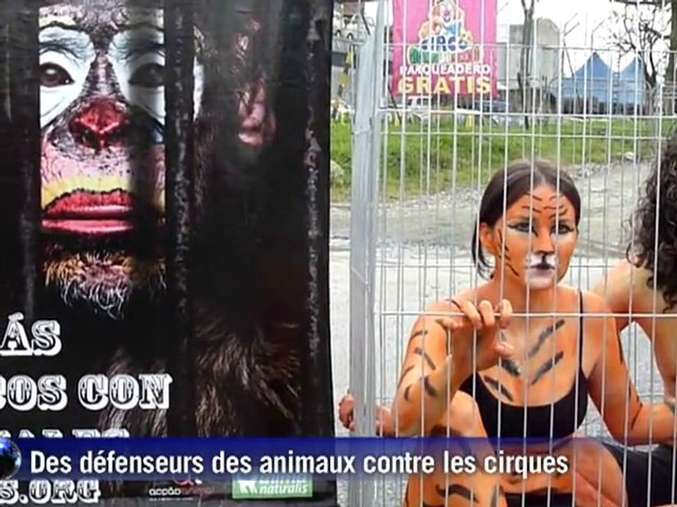 Colombie: contre les cirques, des défenseurs des animaux en cage