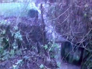 Ecoulement d'un ruisseau en état de crue - 4