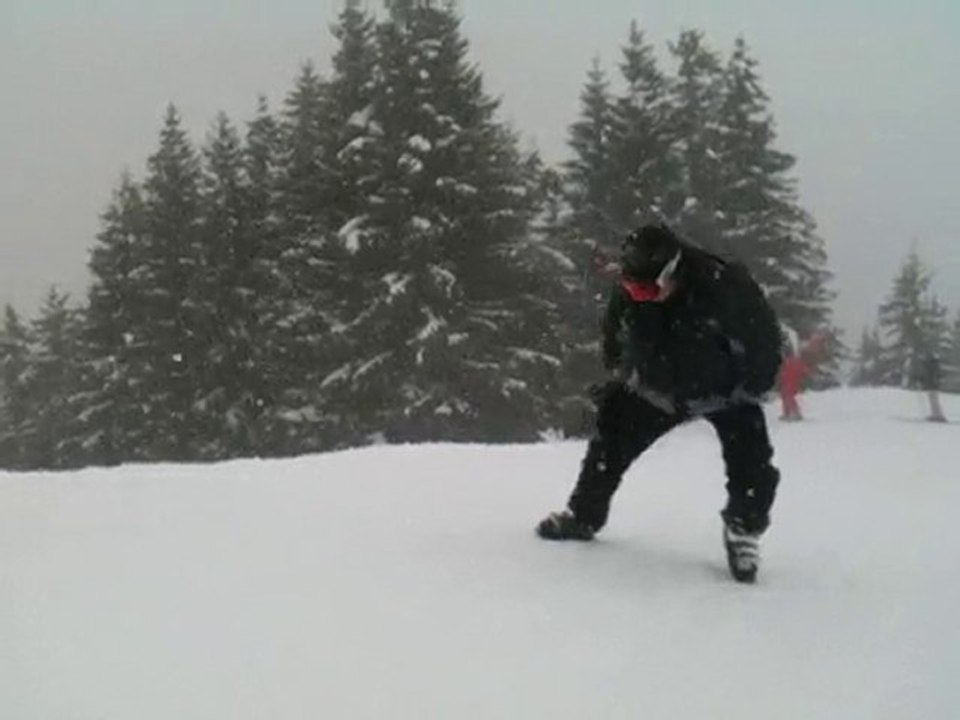 bonne annee 2010