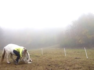 travail à pied, gipsy king