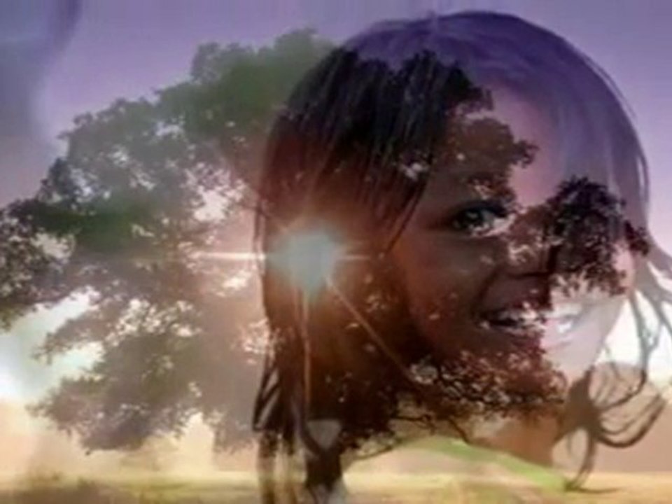 Erdoğan Şimşek   Gülüm