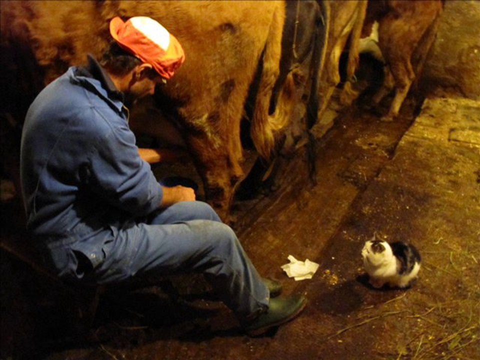 Agriculture et décroissance en Norvège