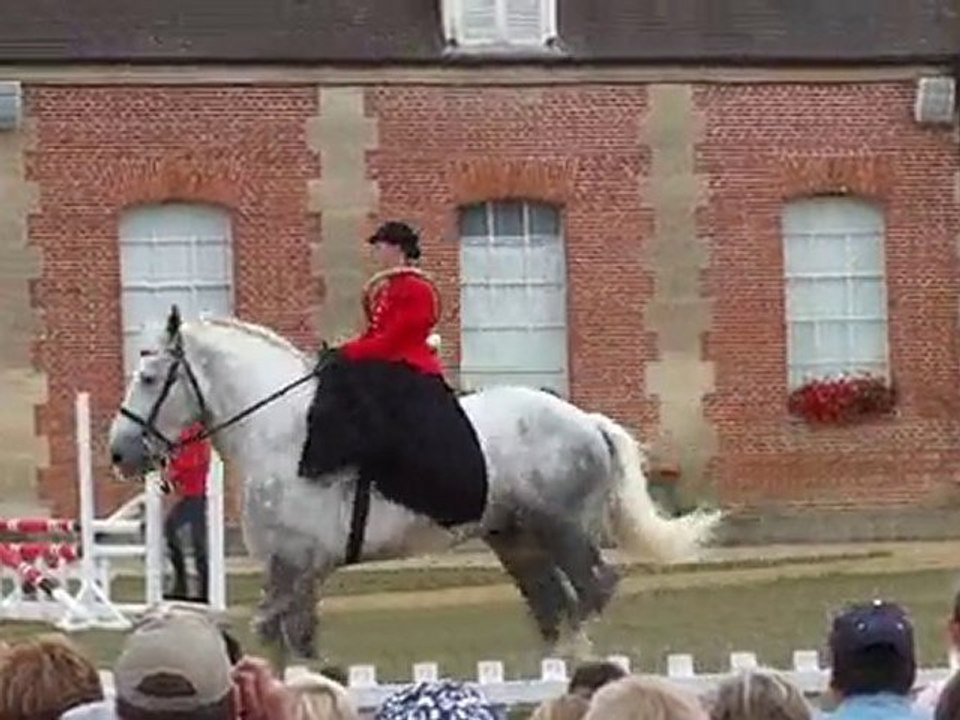 haras du pin dolores amazone