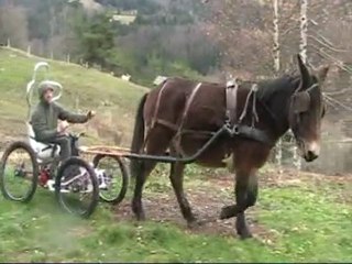 Sherpane FTT attelé nov 2009