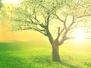 Let Go Let God, A Free Guided Meditation