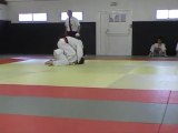 jujitsu bresilien