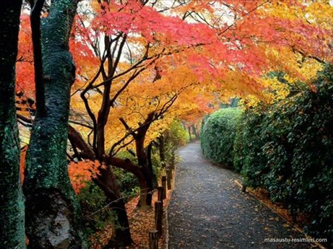 kenan keskelen-divane gönlüm benim