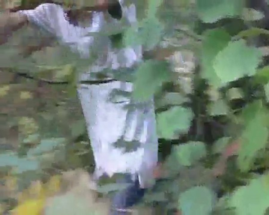 la bande annonce