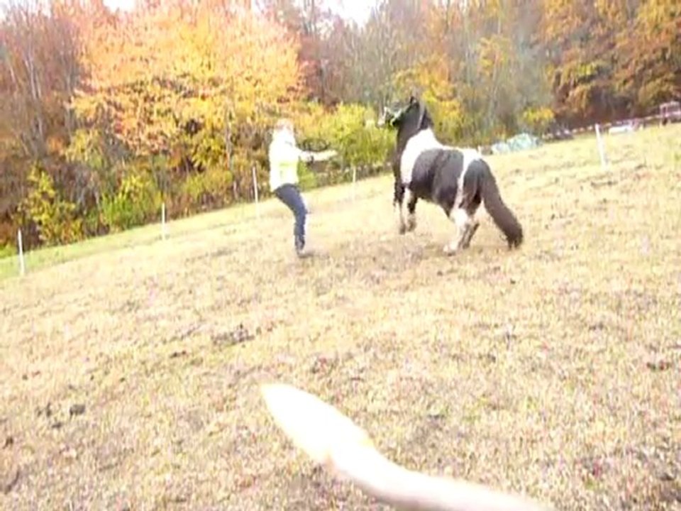 loulou travail à pied, début du cabré