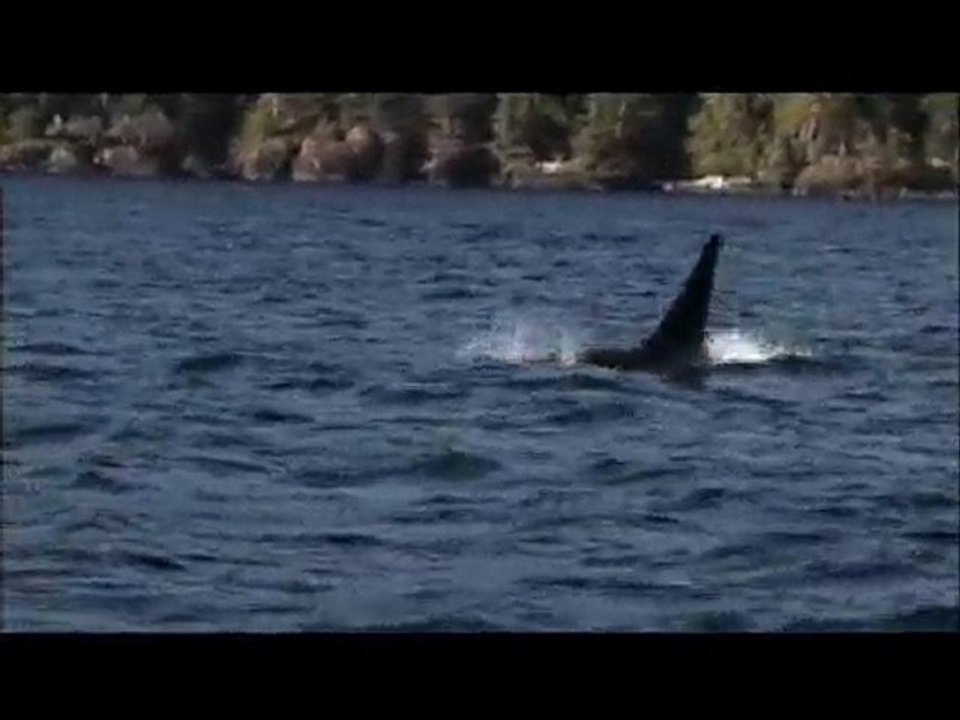 Northern Vancouver Island, British Columbia