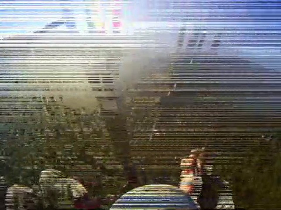 Signes le 13 novembre 2010