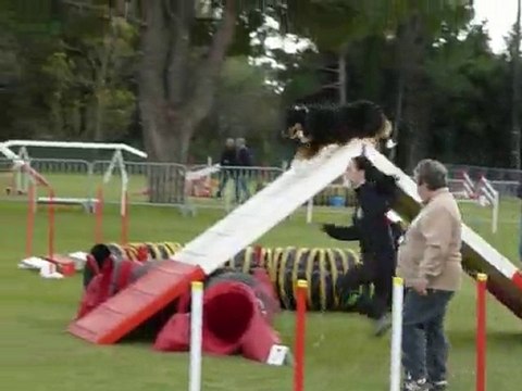 Angie - 2e degre Fos