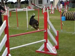 Angie - Jumping Fos