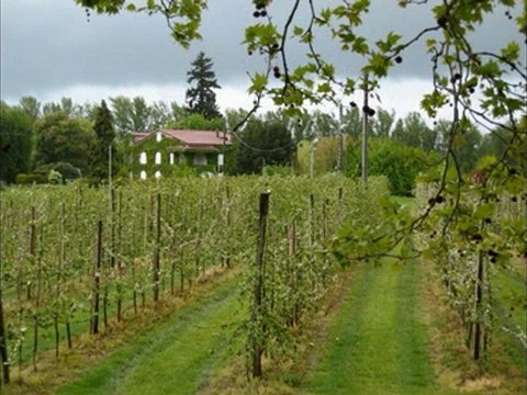 Beautés de Saint Jacques de Compostelle : Moissac / Marsolan