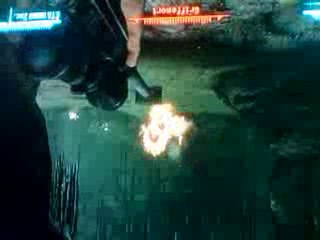 Fallout new vegas gros bug